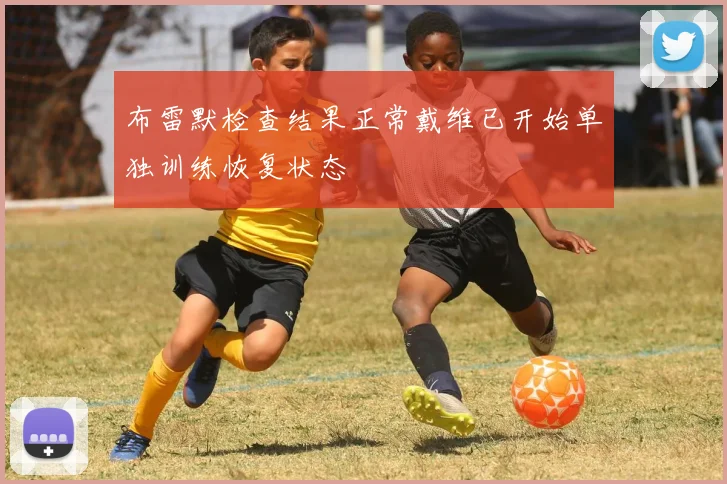 布雷默检查结果正常戴维已开始单独训练恢复状态