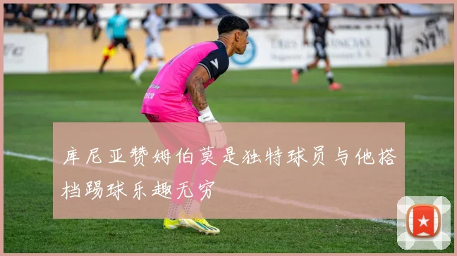 库尼亚赞姆伯莫是独特球员与他搭档踢球乐趣无穷